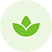 Home plant collection